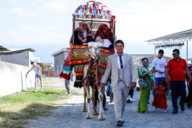 داماد، عروس را بر شتری سوار می‌کند که به آن «کُجاوه» می‌گویند. در فرهنگ ترکمنی این رسم «آق‌مایه» نامیده می‌شود.