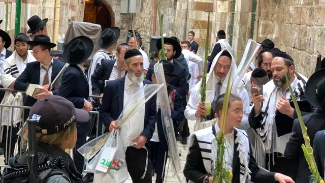 قدس به یک پادگان نظامی تبدیل شده است/ یورش مجدد شهرکنشینان به مسجدالاقصی قدس به یک پادگان نظامی تبدیل شده است/ یورش مجدد شهرکنشینان به مسجدالاقصی