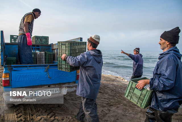 صید غیرمجاز از آسیبهای ذخایر دریای خزر است