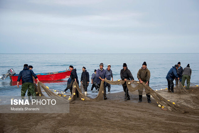 صید غیرمجاز از آسیبهای ذخایر دریای خزر است