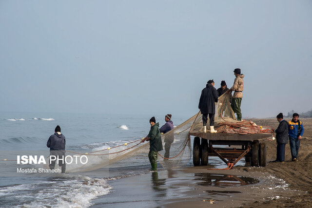 صید غیرمجاز از آسیبهای ذخایر دریای خزر است