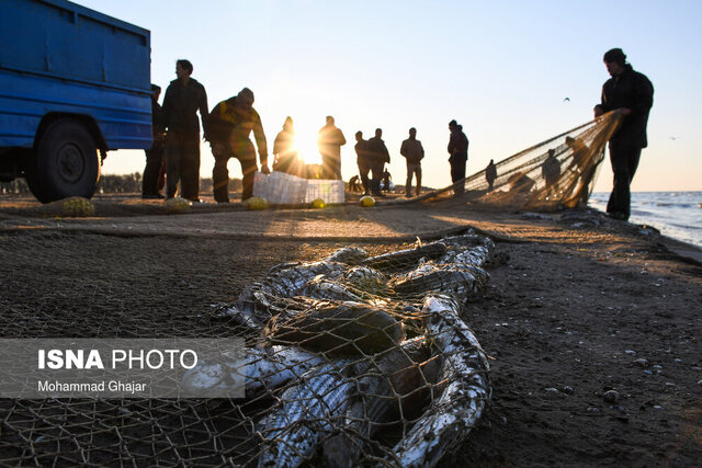 آلایندههای صنعتی و خانگی بلای جان دریا/صید ۷۵۰ هزار تنی صیادان در نوار آبی