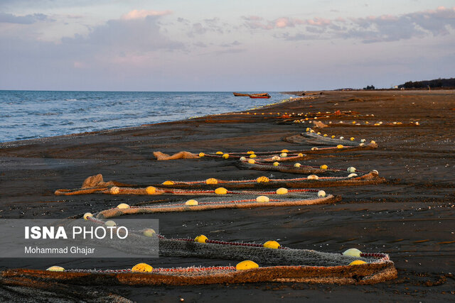 آلایندههای صنعتی و خانگی بلای جان دریا/صید ۷۵۰ هزار تنی صیادان در نوار آبی