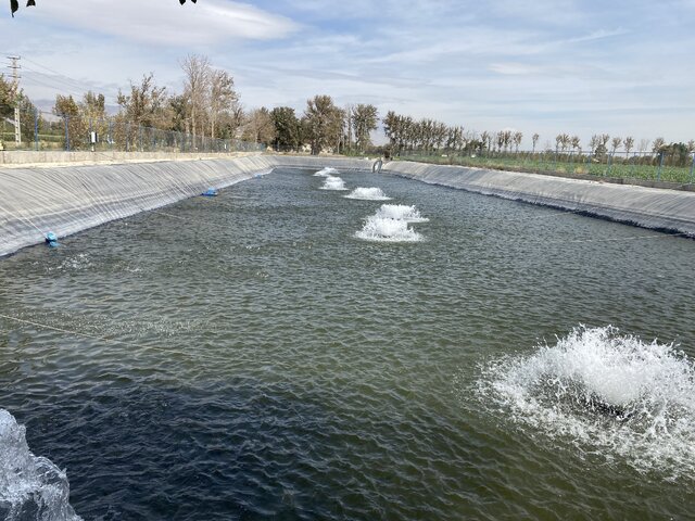 موقوفه سرلشگر خدایاری موقوفه ای برای افزایش درآمد در عرصه کشاورزی