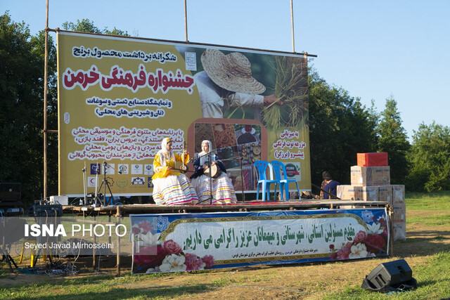 جشن خرمن؛ شکرانه‌ی برداشت برنج