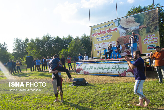 جشن خرمن؛ شکرانه‌ی برداشت برنج