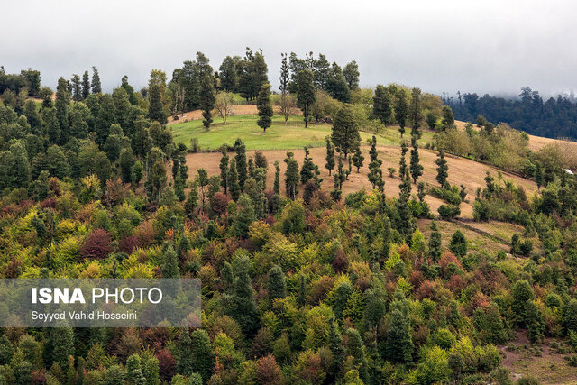 شهرداران، تفکیک زباله را جدی بگیرند