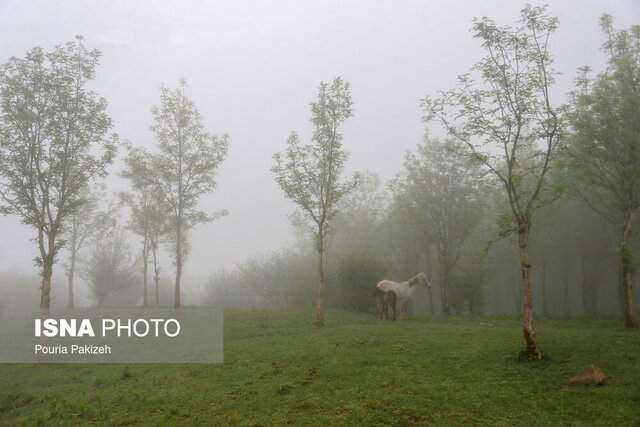شهرداران، تفکیک زباله را جدی بگیرند