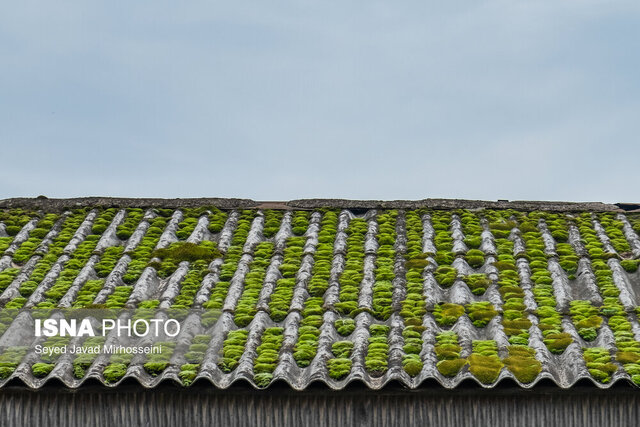 شهرداران، تفکیک زباله را جدی بگیرند