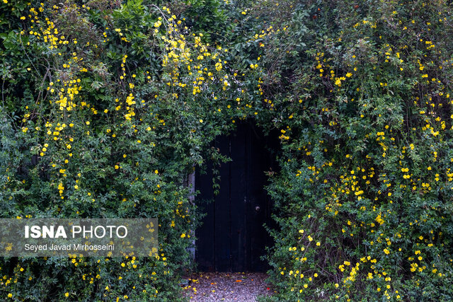 شهرداران، تفکیک زباله را جدی بگیرند
