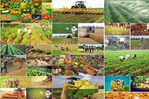 ۷۹ پروژه تعاون روستایی در هفته دولت افتتاح و کلنگزنی میشود ۷۹ پروژه تعاون روستایی در هفته دولت افتتاح و کلنگزنی میشود