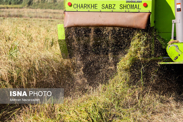 حدود ۸۵ درصد امنیت غذایی کشور تامین شده است