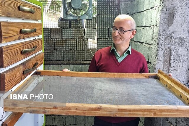 چینچین دامن باغ چای در "تارمه" به سبک و سیاق ژاپنی+ تصاویر