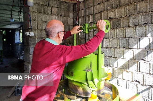 چینچین دامن باغ چای در "تارمه" به سبک و سیاق ژاپنی+ تصاویر