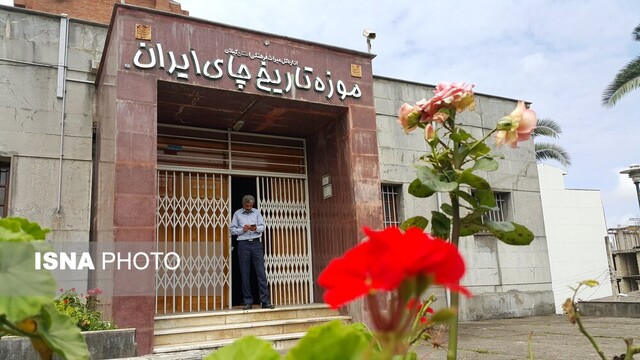 مرا به خاک معطر بوتههای چای بسپارید