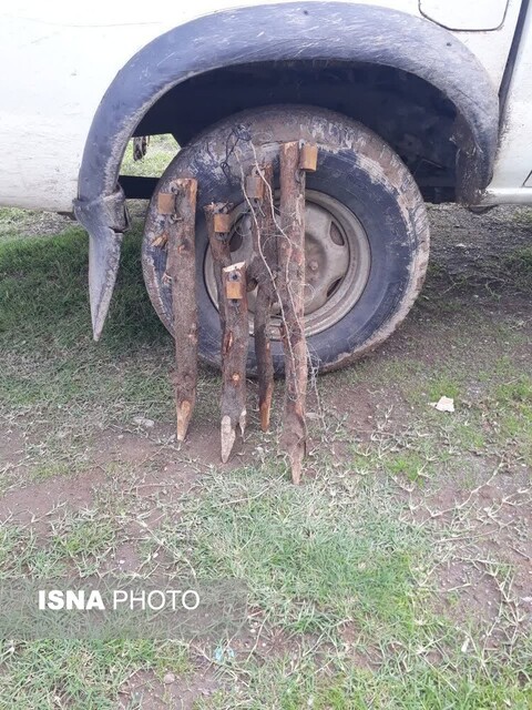 ۷۰ تله زندهگیری پرندگان شکاری در تله محیط بانان سختکوش گیلانی