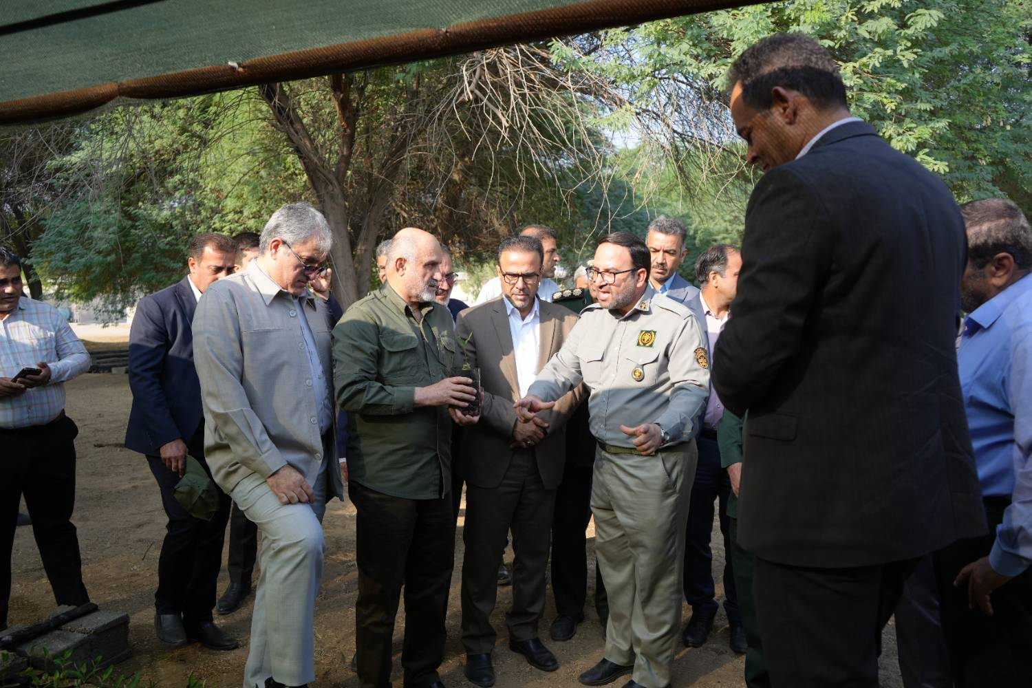 آغاز کاشت نهال در نهالستان چاهکوتاه