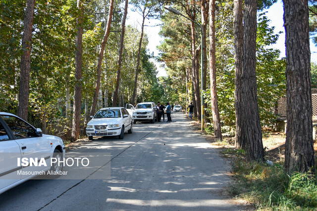 قاتلی که مهرجویی را از «دایره مینا» خارج کرد