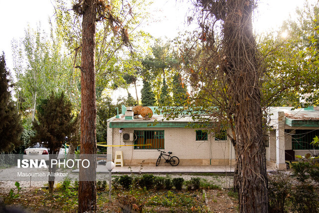 خانه داریوش مهرجویی و وحیده محمدیفر روایت پلیس از دقایق آخر در خانه داریوش مهرجویی/ تاکنون گزارشی از سرقت اعلام نشده است