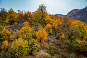 آغاز فصل خزان در ارتفاعات شهرستان رامیان استان گلستان