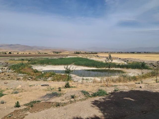 جدیدترین عکس از تالاب پیرسلمان تالاب پیرسلمان دوباره جان گرفت