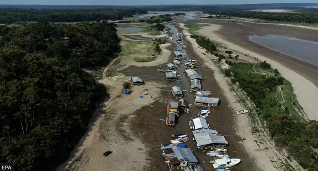 خشکسالی آمازون به روایت تصویر؛ قایقهای بهگِل نشسته و ماهیهای مرده