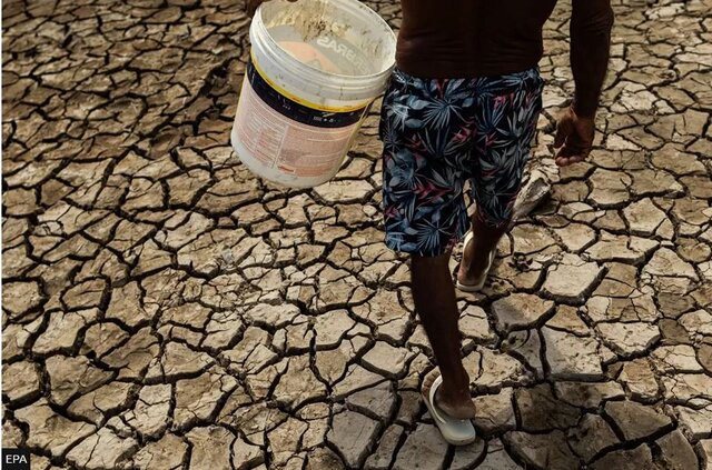 خشکسالی آمازون به روایت تصویر؛ قایقهای بهگِل نشسته و ماهیهای مرده