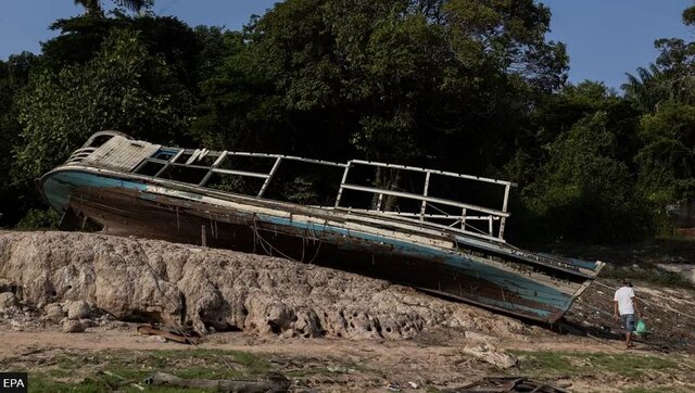 خشکسالی آمازون به روایت تصویر؛ قایق‌های به‌گِل نشسته و ماهی‌های مرده