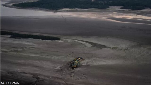 خشکسالی آمازون به روایت تصویر؛ قایقهای بهگِل نشسته و ماهیهای مرده