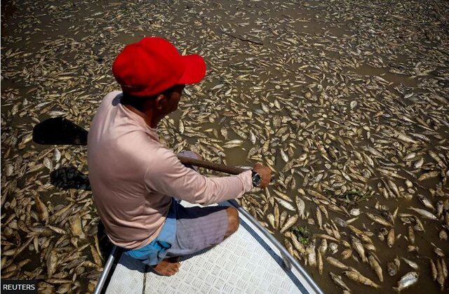 خشکسالی آمازون به روایت تصویر؛ قایق‌های به‌گِل نشسته و ماهی‌های مرده