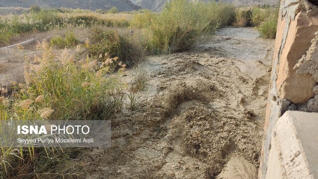 سیل به منازلی در هچیرود و بخش مرکزی نوشهر خسارت وارد کرد سیل به منازلی در هچیرود و بخش مرکزی نوشهر خسارت وارد کرد
