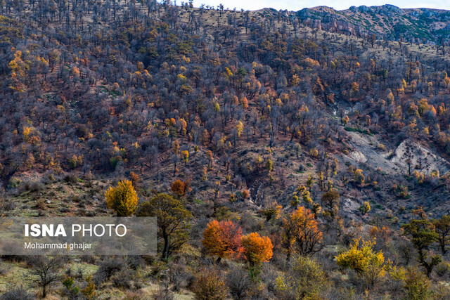 پیش‌بینی وضعیت هوای ارتفاعات در پایان هفته؛ وقوع مخاطرات جوی در برخی نقاط