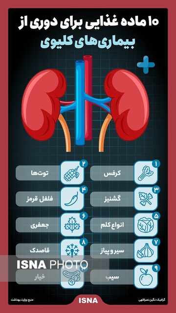 اینفوگرافیک/ ۱۰ ماده غذایی برای دوری از بیماریهای کلیوی