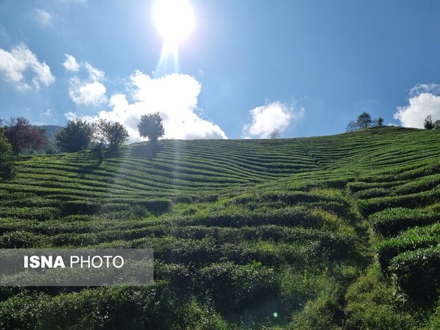 بر فراز "رانکوه" با موتور ییلاق ۱۱+ تصاویر