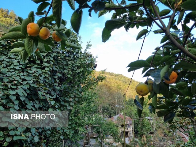 بر فراز "رانکوه" با موتور ییلاق ۱۱+ تصاویر