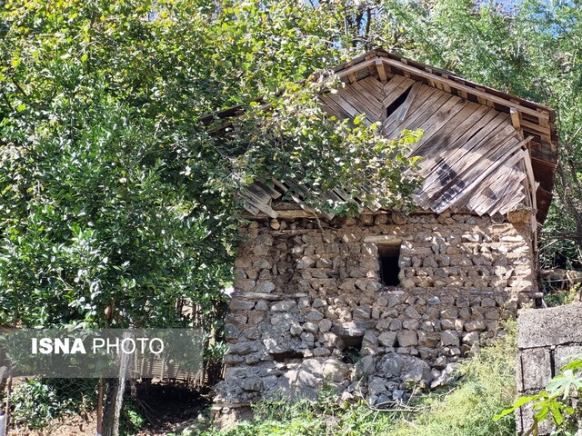 بر فراز "رانکوه" با موتور ییلاق ۱۱+ تصاویر