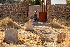قبرستان باستانی روستای شهنشاه