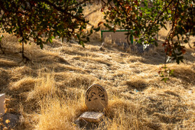 قبرستان باستانی روستای شهنشاه