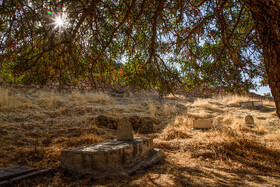قبرستان باستانی روستای شهنشاه