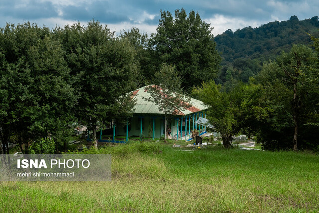 شاخ گوزن نذر «چهل ستون» لاهیجان