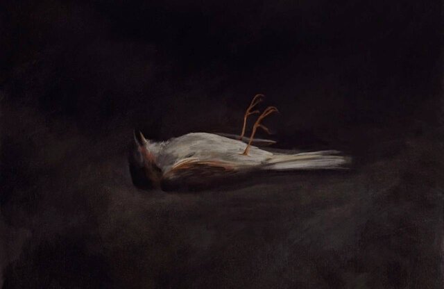 گزارش ایسنا از واکنش هنرمندان و چهرههای ایرانی به اتفاقات غزه