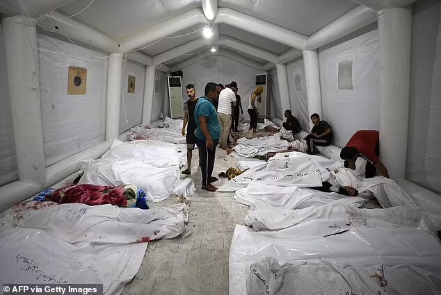 سازمان بهداشت جهانی: غزه در آستانه فاجعه است