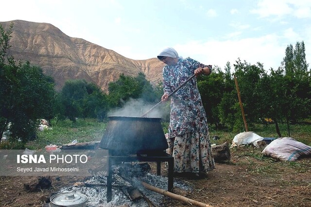 بخشی از امنیت غذایی کشور در گیلان تامین میشود