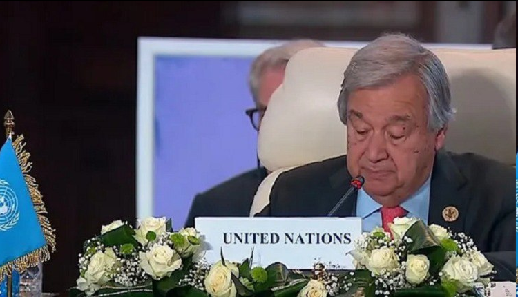 نشست «صلح» قاهره با محوریت فلسطین