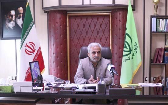 یک غنچه در بهار ۶۰ درصد چای ممتاز میدهد یک غنچه در بهار ۶۰ درصد چای ممتاز میدهد