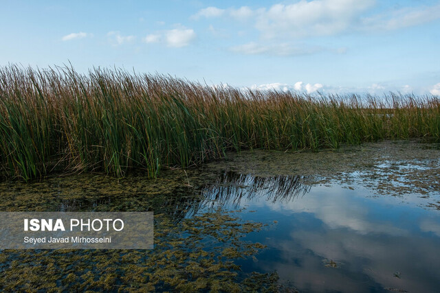 عکس تزئینی است دوری از پسماند در محیط زیست وجود ندارد