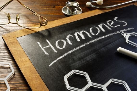 چند خوردنی مفید برای سلامت هورمون‌ها