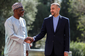 دیدار وزیر امور خارجه نیجر با امیرعبداللهیان