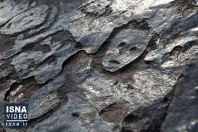 ویدیو/ خشکسالی‌های آمازون، حکاکی‌های صخره‌ای باستانی را نمایان کرد