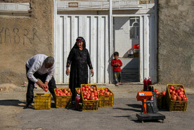 انارستان تنگ سیاب (کوهدشت)